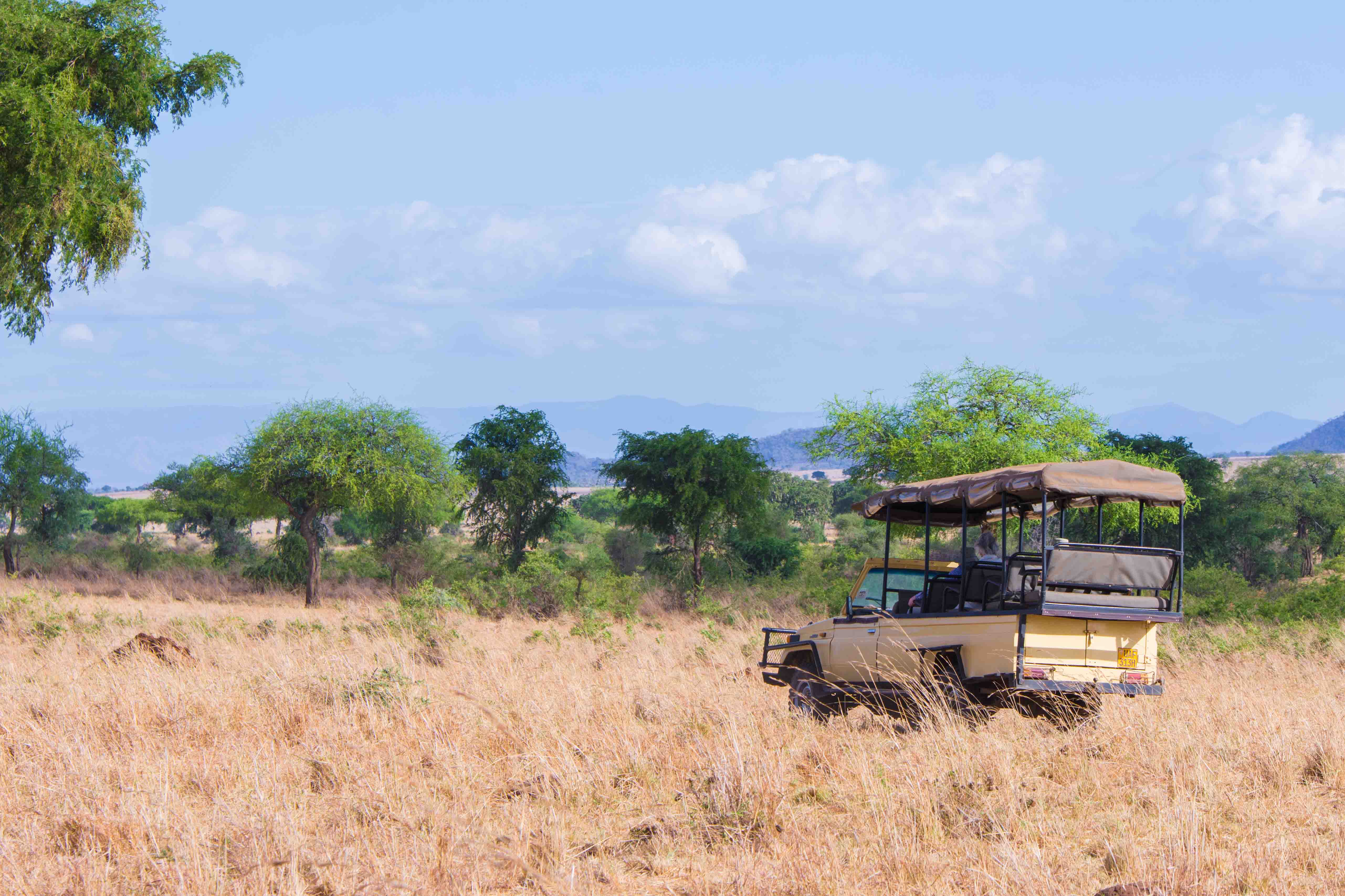 10 Days Uganda's Gorillas Encounter, Wildlife & Kigali City Tour